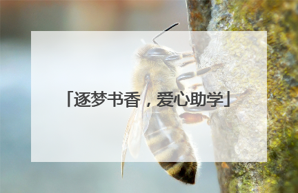 逐梦书香，爱心助学